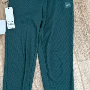 Alo weekend waffle joggers, winter ivy